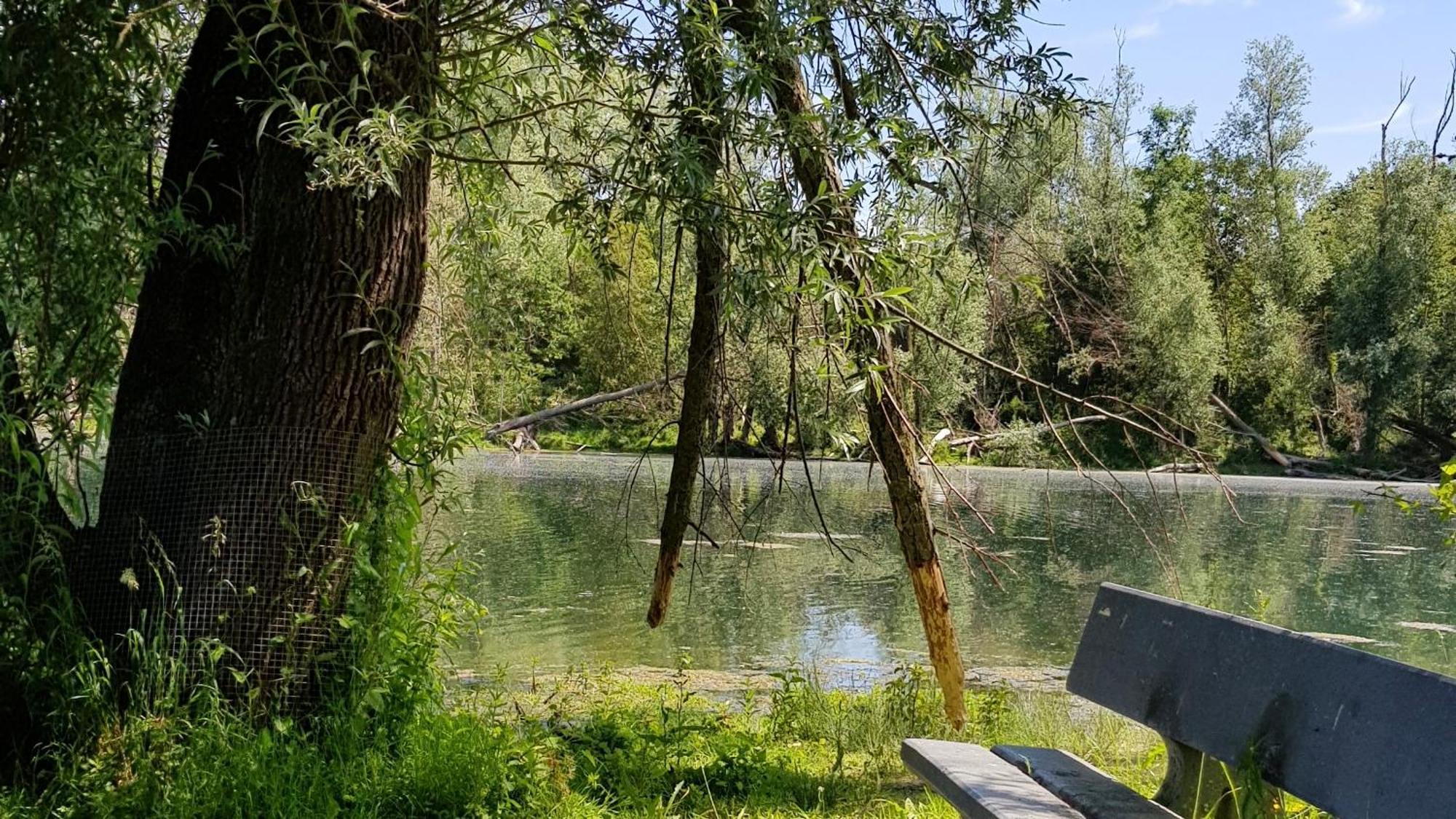 Guesthouse De Wissen Dilsen-Stokkem Kültér fotó
